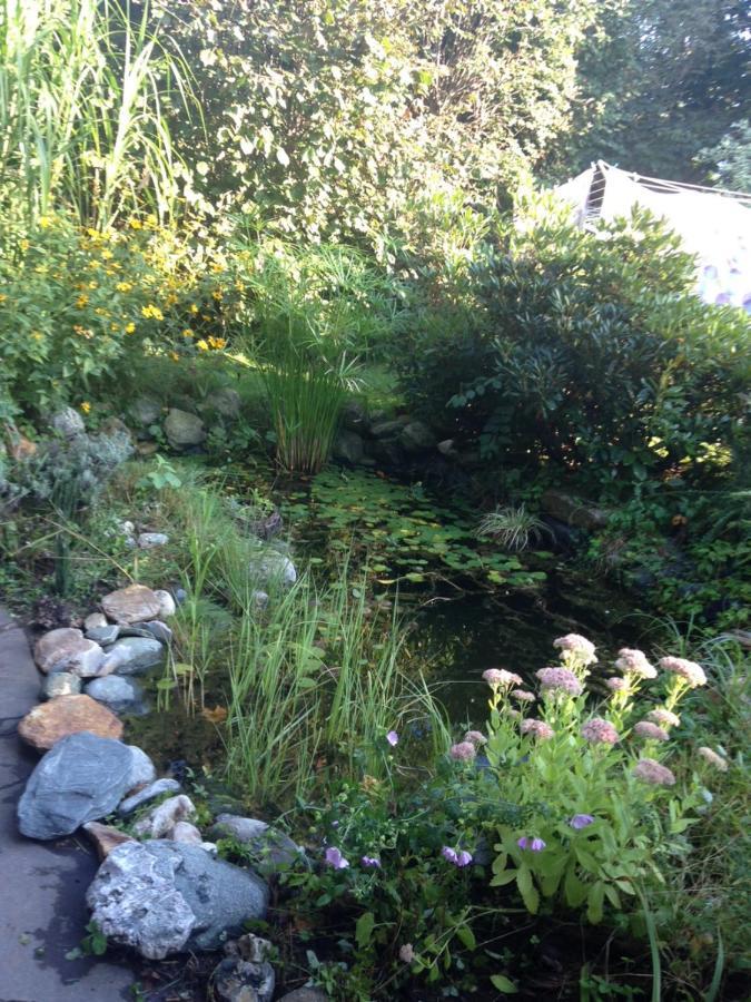 Ruhige Wohnung Mit Schoenem Eigengarten In Seeboden Am Millstaettersee エクステリア 写真