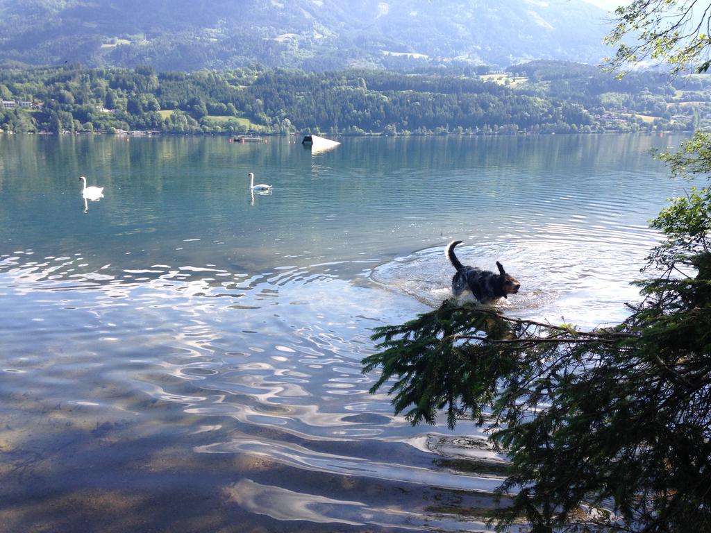 Ruhige Wohnung Mit Schoenem Eigengarten In Seeboden Am Millstaettersee 部屋 写真
