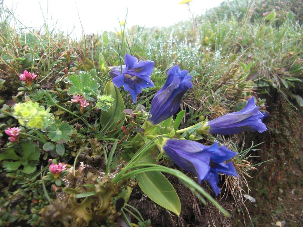 Ruhige Wohnung Mit Schoenem Eigengarten In Seeboden Am Millstaettersee エクステリア 写真