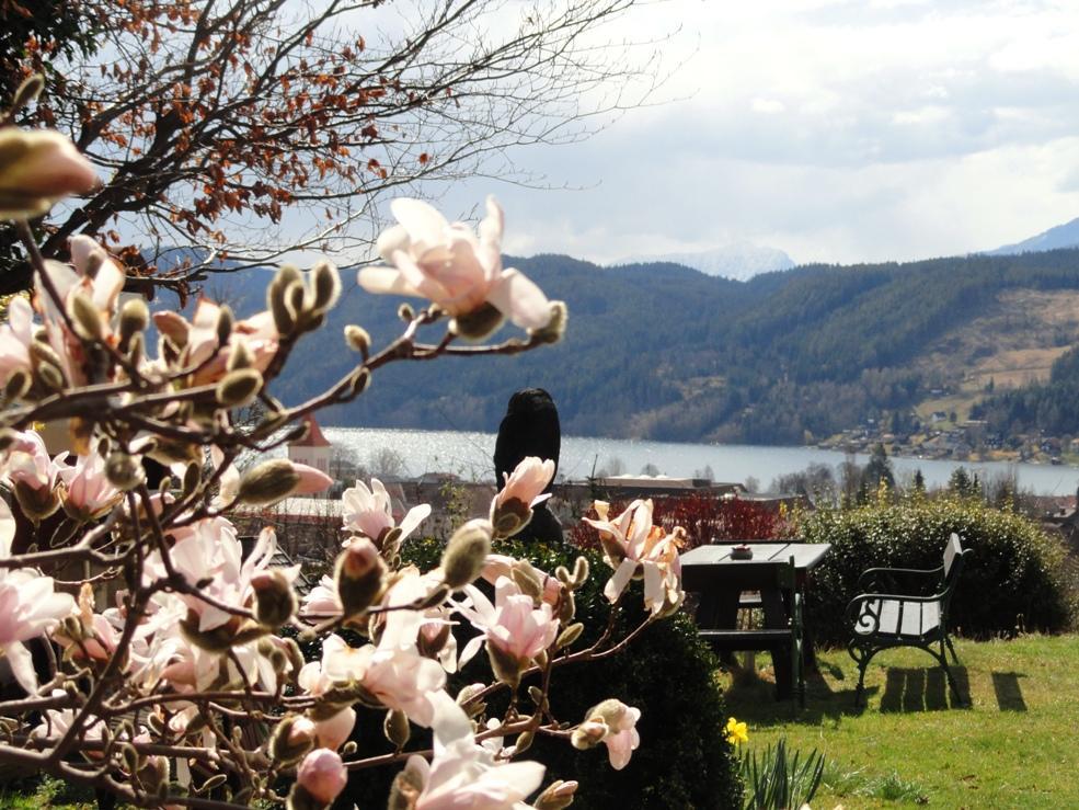 Ruhige Wohnung Mit Schoenem Eigengarten In Seeboden Am Millstaettersee エクステリア 写真