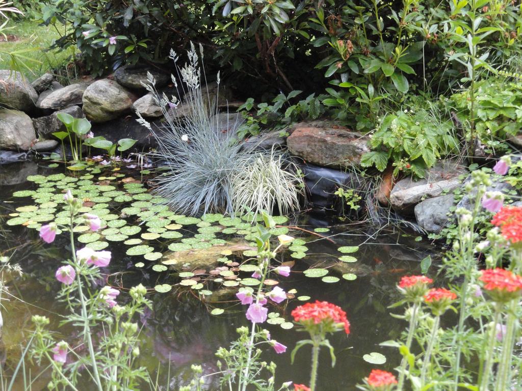 Ruhige Wohnung Mit Schoenem Eigengarten In Seeboden Am Millstaettersee エクステリア 写真